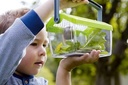 Terra Kids - Boîte à Insectes- Jeu de plein air - Jeu d'extérieur - Observation des insectes