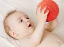 222836_3_large.webp